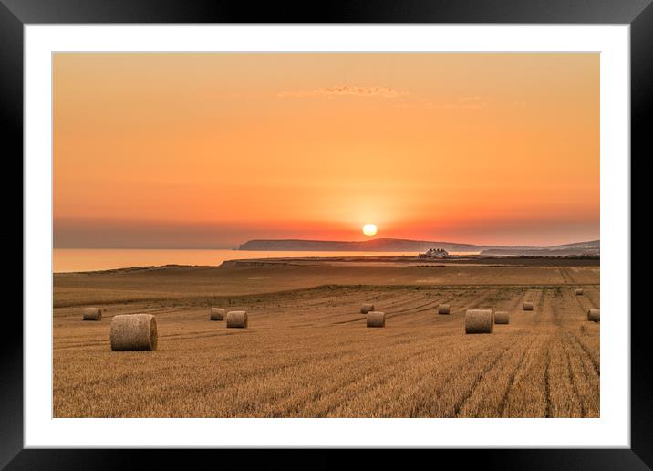 Round straw bales and susnset Framed Mounted Print by Alf Damp