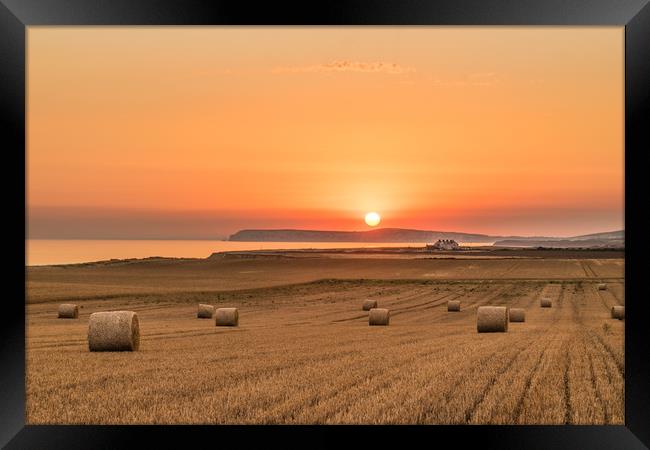 Round straw bales and susnset Framed Print by Alf Damp