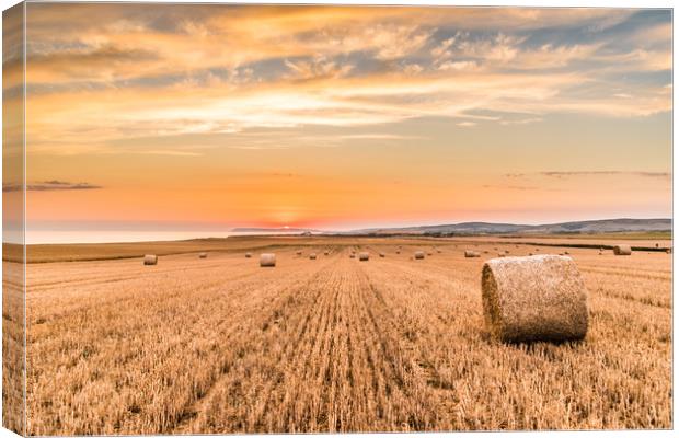 Round straw bales at susnset. Canvas Print by Alf Damp