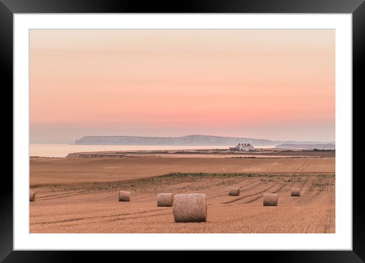 Dusk and round bales Framed Mounted Print by Alf Damp