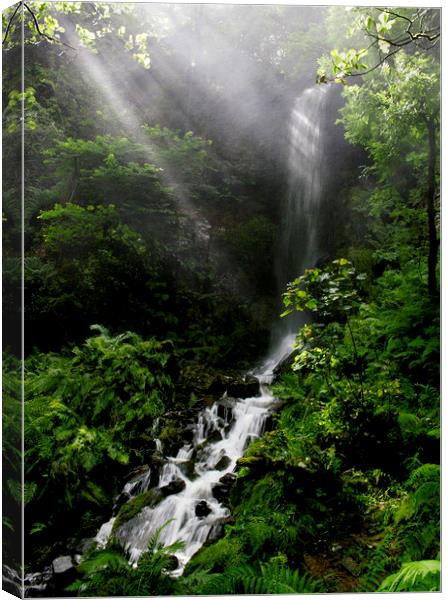 Second Waterfall Melincourt  Canvas Print by Jenny Hibbert