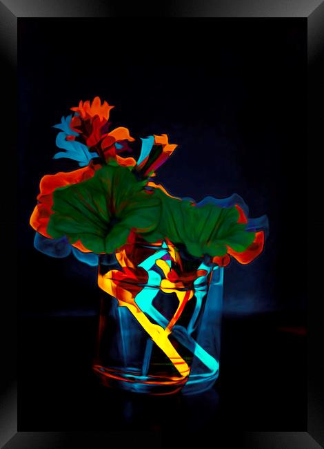 Flora in a Glass                                Framed Print by David Mccandlish