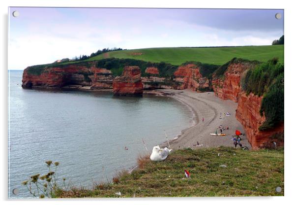 Ladram Bay Jurassic Coast Devon Acrylic by Andy Evans Photos