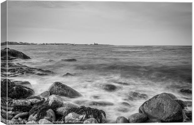 Newbiggin by the Sea Canvas Print by Phil Reay