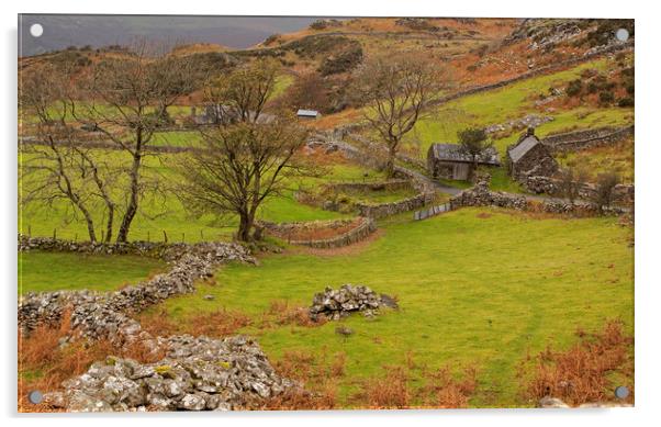 North Wales landscape near Barmouth Acrylic by Jenny Hibbert