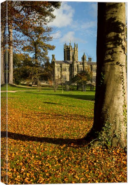 Margam Castle at autumn time Canvas Print by Jenny Hibbert