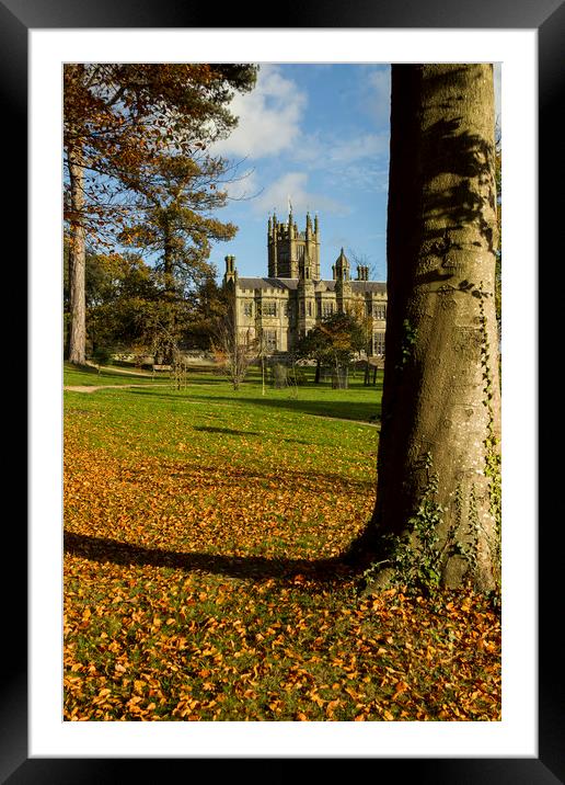 Margam Castle at autumn time Framed Mounted Print by Jenny Hibbert