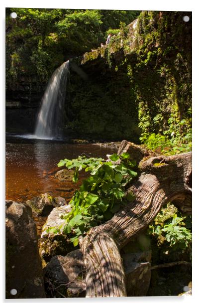 Scwd Gwladys Waterfall Acrylic by Jenny Hibbert