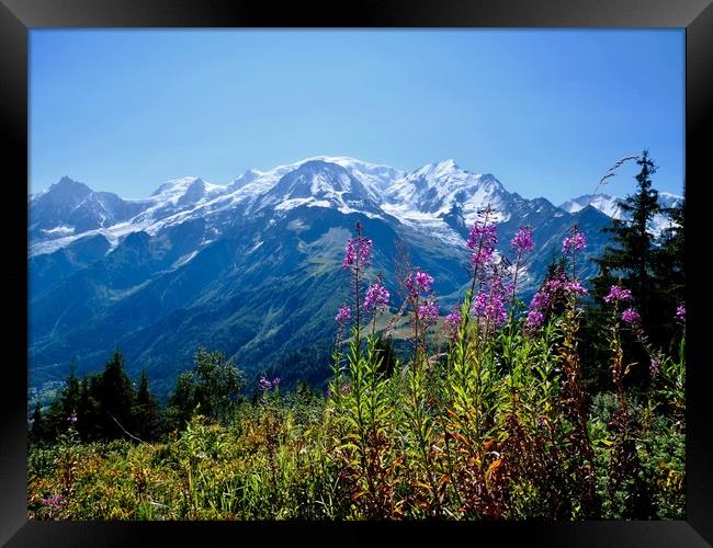 Mont Blanc from Petit Prarion - 2 Framed Print by Nathalie Hales