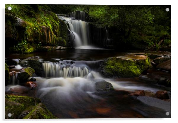 The waterfalls at Blaen y Glyn Acrylic by Leighton Collins
