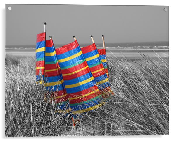 Seaside windbreak Acrylic by Sheryl Brown
