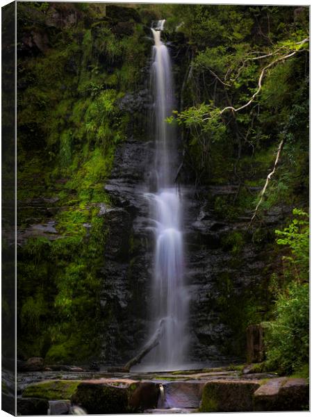 The tallest waterfall at Blaen y Glyn  Canvas Print by Leighton Collins
