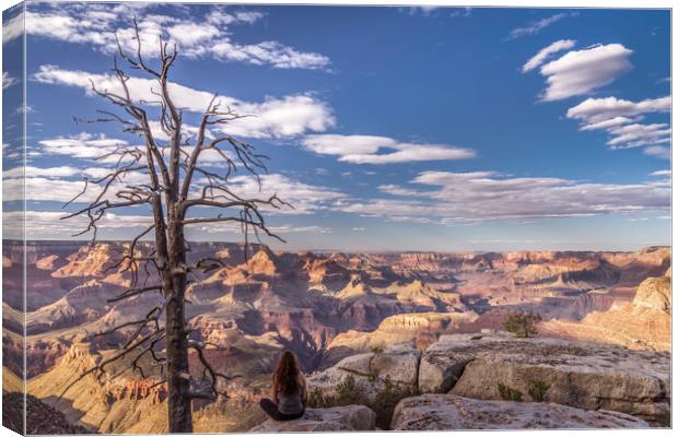 Contemplation over the Grand Canyon  Canvas Print by John Finney
