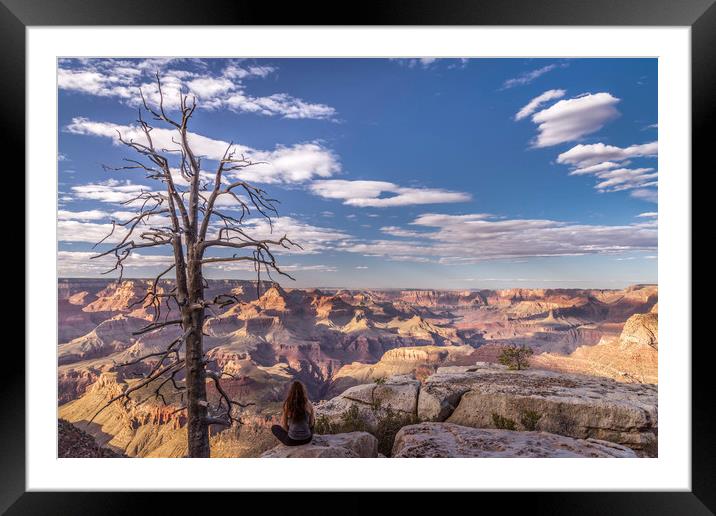 Contemplation over the Grand Canyon  Framed Mounted Print by John Finney