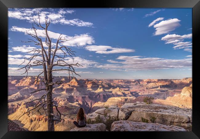 Contemplation over the Grand Canyon  Framed Print by John Finney