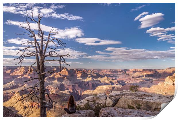 Contemplation over the Grand Canyon  Print by John Finney