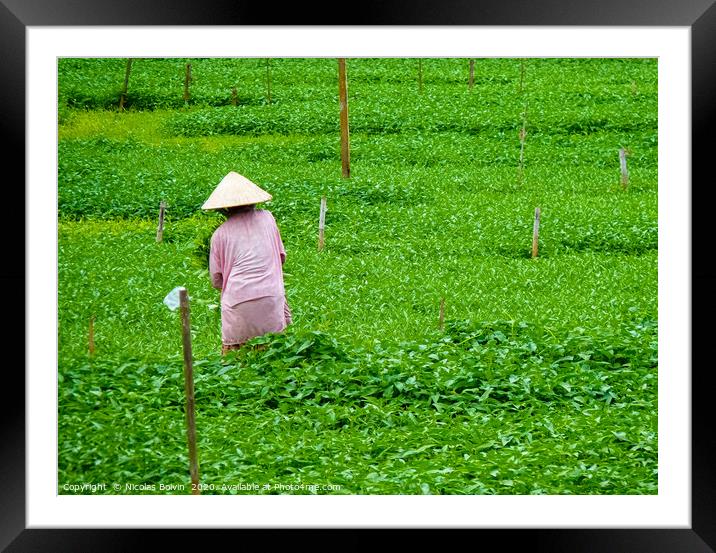 Peaceful people lifestyle in Hoi An Framed Mounted Print by Nicolas Boivin