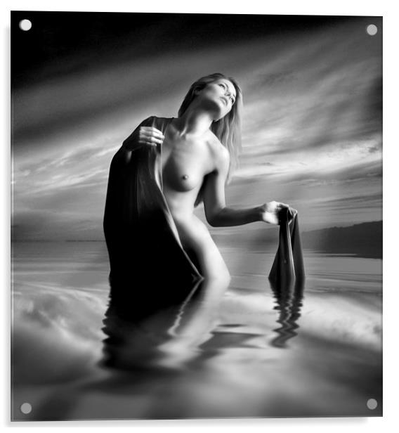 Lady Of The Lake Acrylic by Julie Hoddinott