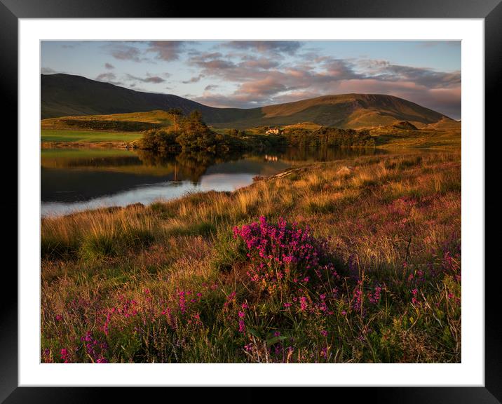 Llyn Cregennen Framed Mounted Print by Rory Trappe