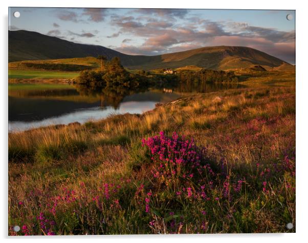 Llyn Cregennen Acrylic by Rory Trappe