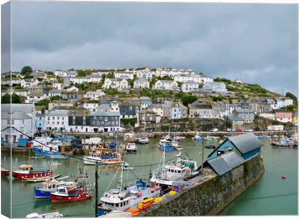 Mevagissey Harbour, Cornwall Canvas Print by Nathalie Hales