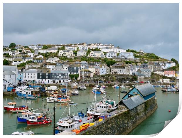 Mevagissey Harbour, Cornwall Print by Nathalie Hales