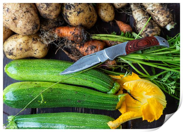 August Harvest  Print by Rob Hawkins