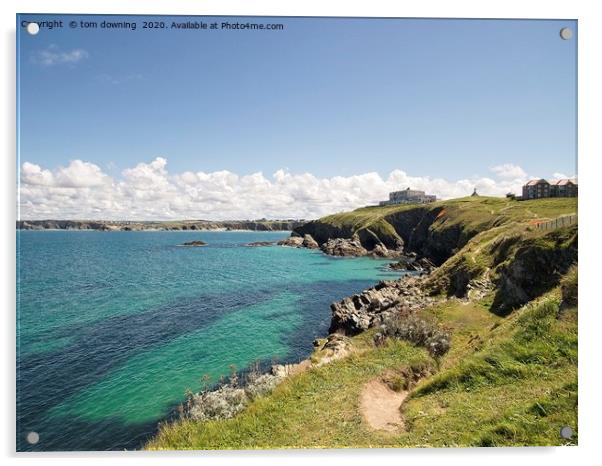 Coastal path Newquay Acrylic by tom downing