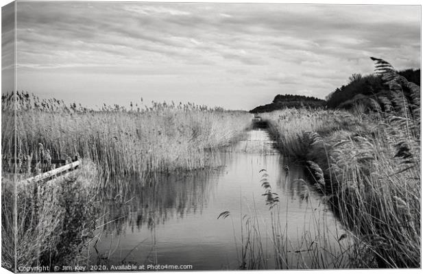 Norfolk Marshlands Black and White. Canvas Print by Jim Key