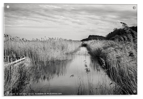 Norfolk Marshlands Black and White. Acrylic by Jim Key