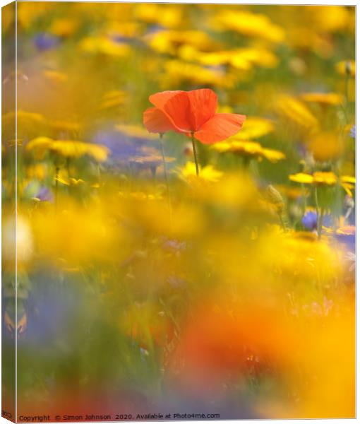 Poppy in meadow flowers Canvas Print by Simon Johnson