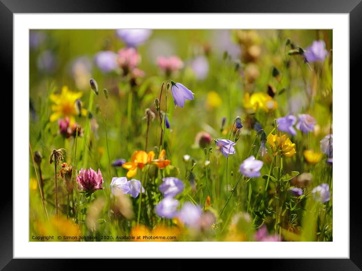 Harebells and meadow flowers Framed Mounted Print by Simon Johnson