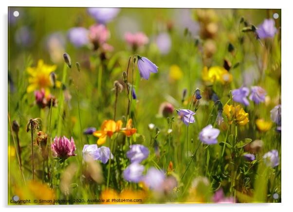 Harebells and meadow flowers Acrylic by Simon Johnson