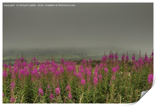 A Murky Day in Holwick, Teesdale Print by Richard Laidler