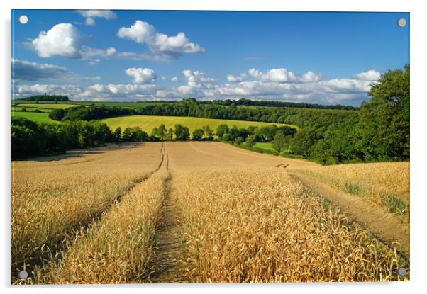   Wheat Field near Wentworth                       Acrylic by Darren Galpin