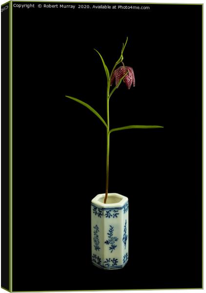 Snake's head fritillary Canvas Print by Robert Murray