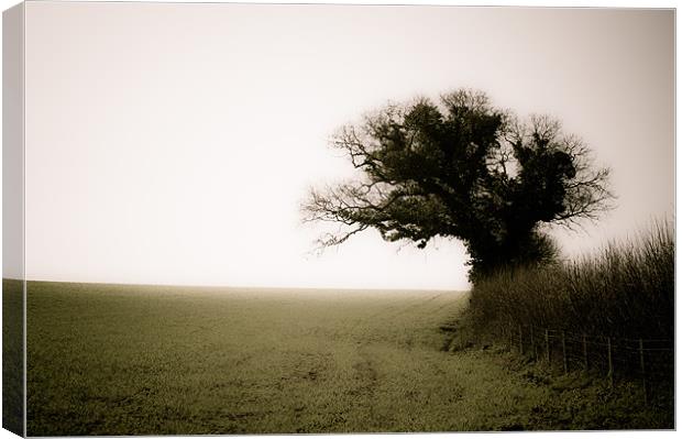 A Tree, a Field, a Hedge. Canvas Print by K. Appleseed.