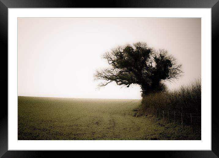 A Tree, a Field, a Hedge. Framed Mounted Print by K. Appleseed.