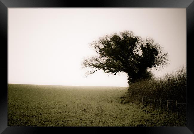 A Tree, a Field, a Hedge. Framed Print by K. Appleseed.