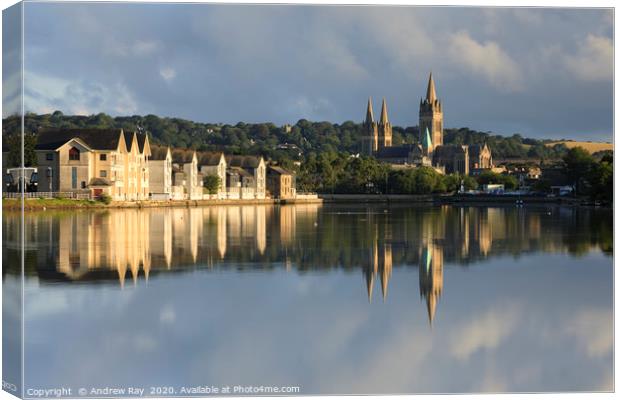 Boscawen Park view (Truro) Canvas Print by Andrew Ray