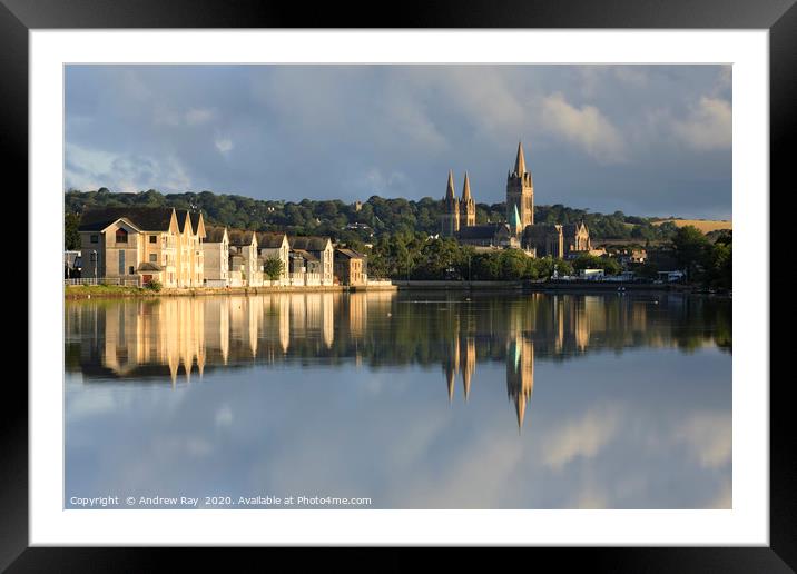 Boscawen Park view (Truro) Framed Mounted Print by Andrew Ray