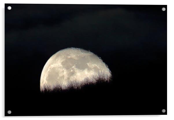 Cloudy Moon Rise Acrylic by Susan Snow