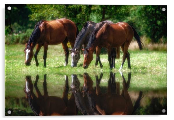 Grazing Horses Acrylic by Roger Daniel