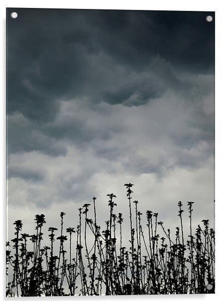 storm clouds over the apple tree Acrylic by Heather Newton