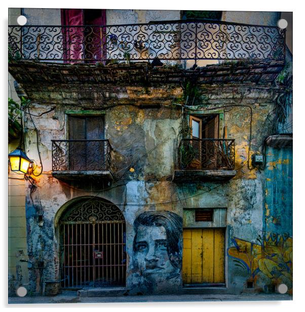 Havana Habitat Acrylic by Chris Lord