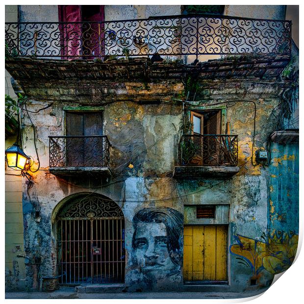 Havana Habitat Print by Chris Lord
