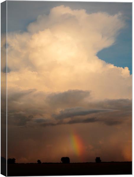 Cumulus storm cloud and rainbow Canvas Print by Simon Johnson