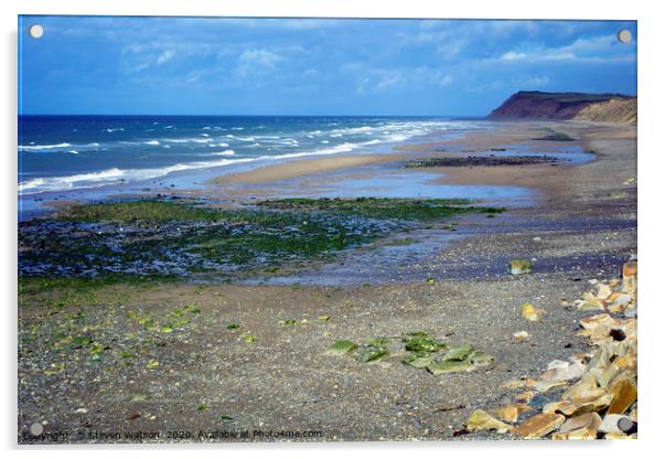 The beach at Kirk Michael 2 Acrylic by Steven Watson