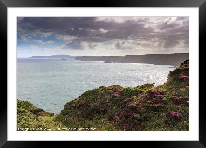 Summer morning (North Cliffs) Framed Mounted Print by Andrew Ray