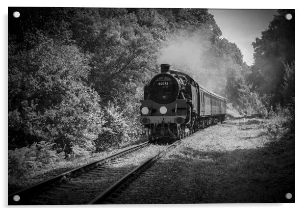 Spa Valley Railway  Acrylic by Philip Enticknap